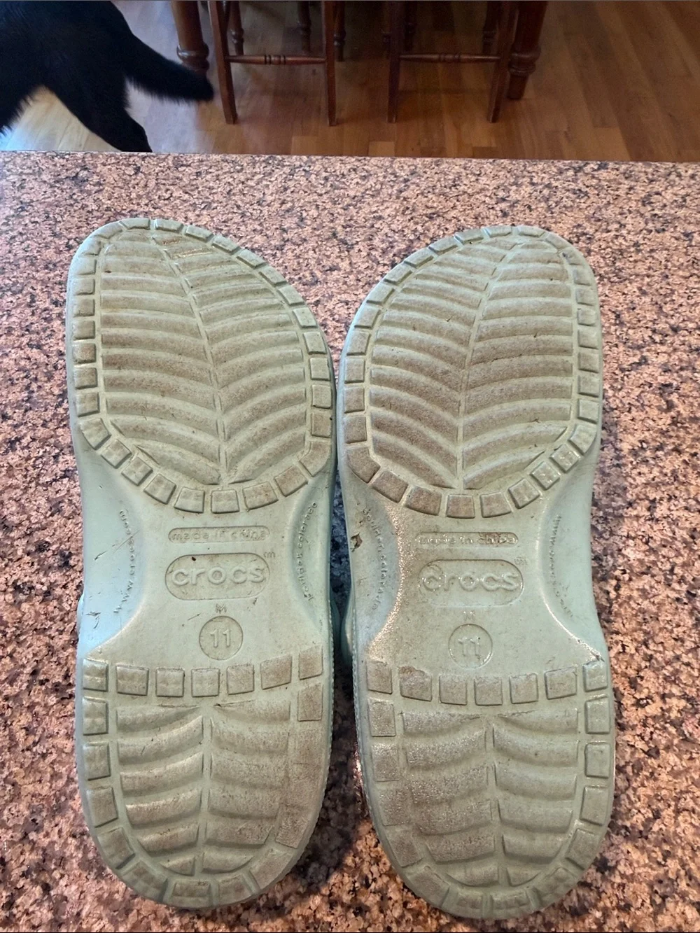 CROCS Classic Clogs in Coveted Mint Color